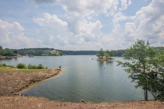 0 County Road 189, Crane Hill, AL 35053 - photo 3
