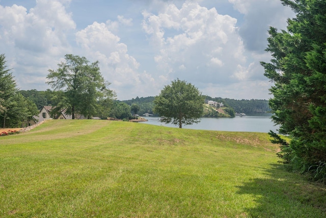 0 County Road 189, Crane Hill, AL 35053 - photo 2