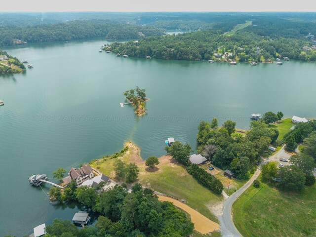 0 County Road 189, Crane Hill, AL 35053 - photo 8
