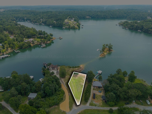 0 County Road 189, Crane Hill, AL 35053 - photo 1
