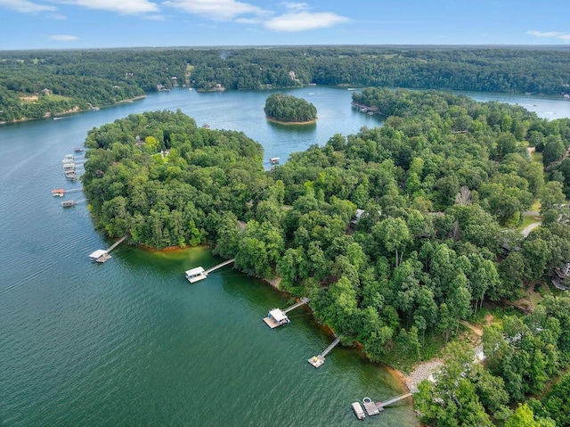 75 County Rd 881, Crane Hill, AL 35053 - drone / aerial view of a forest and a large body of water