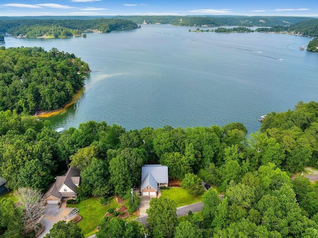 75 County Rd 881, Crane Hill, AL 35053 - aerial view of a large body of water and a heavily wooded area