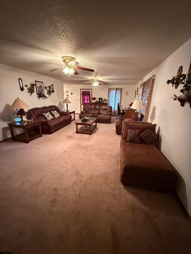 571 Cothrum Rd, Phil Campbell, AL 35581 - photo 6