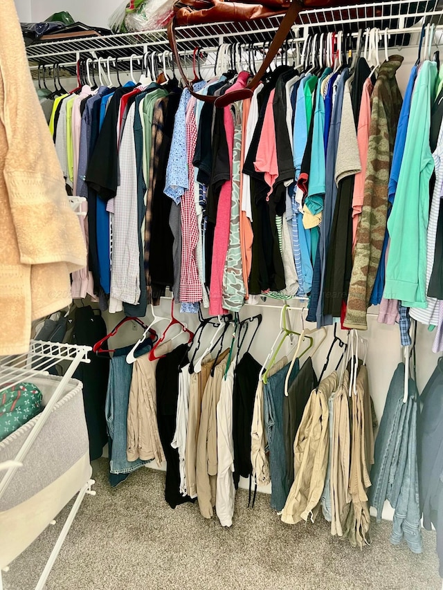 305 Chris Ln, Winfield, AL 35594 - walk in closet with carpet