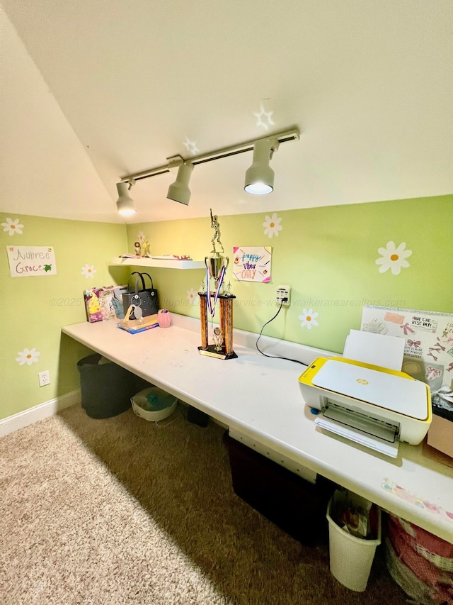 305 Chris Ln, Winfield, AL 35594 - bathroom featuring rail lighting and baseboards