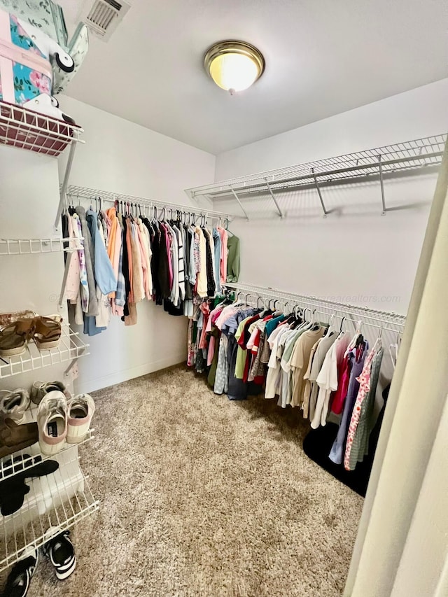 305 Chris Ln, Winfield, AL 35594 - spacious closet featuring carpet flooring and visible vents