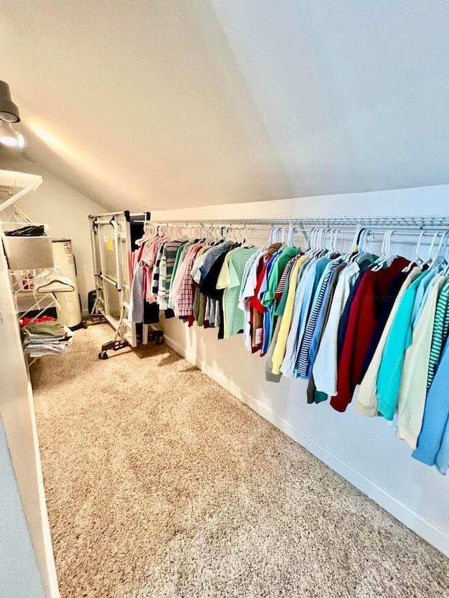 305 Chris Ln, Winfield, AL 35594 - spacious closet featuring lofted ceiling and carpet floors