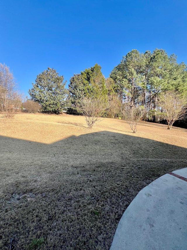 305 Chris Ln, Winfield, AL 35594 - view of yard