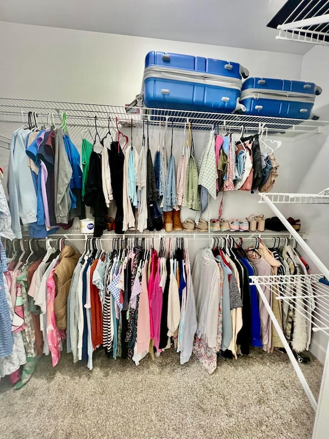 305 Chris Ln, Winfield, AL 35594 - spacious closet with carpet floors