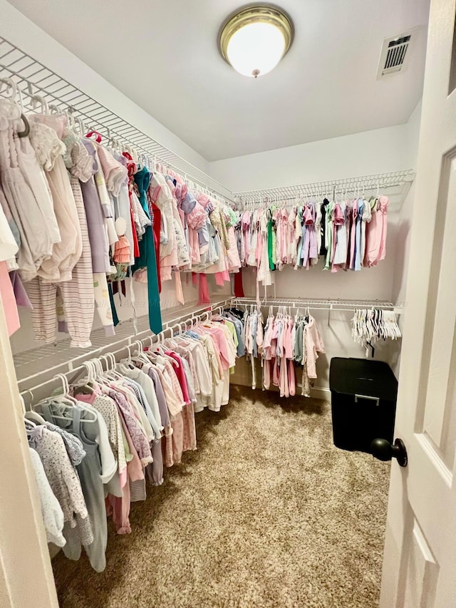 305 Chris Ln, Winfield, AL 35594 - spacious closet with carpet and visible vents