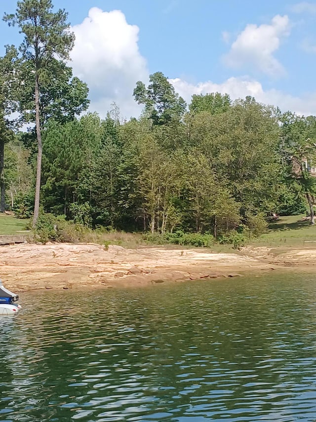 LOT3 Preserve Trl, Jasper, AL 35504 - photo 2