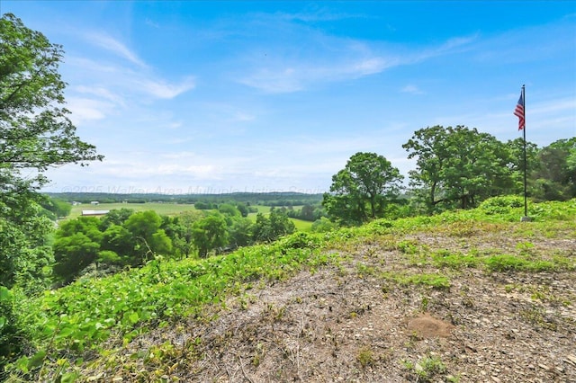 239 Doss Rd, Cullman, AL 35057 - photo 27