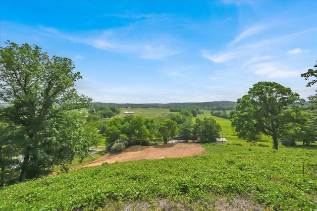 239 Doss Rd, Cullman, AL 35057 - photo 26
