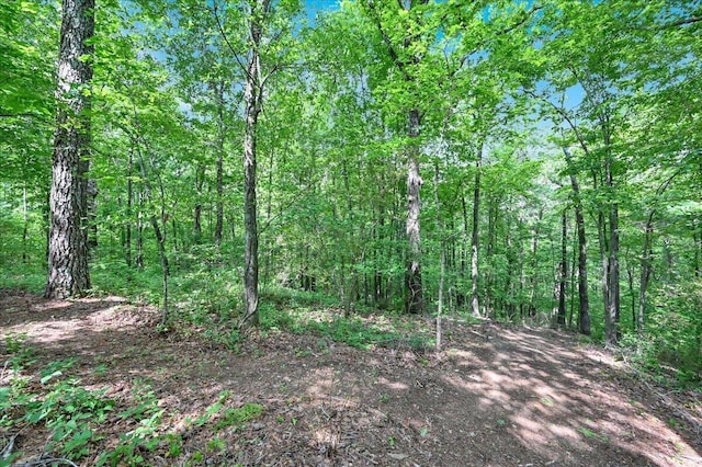 239 Doss Rd, Cullman, AL 35057 - photo 33