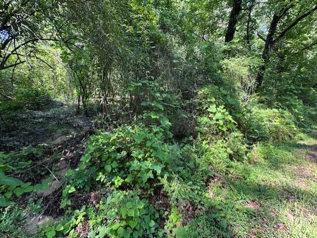 Rock Rd, Winfield, AL 35594 - photo 6