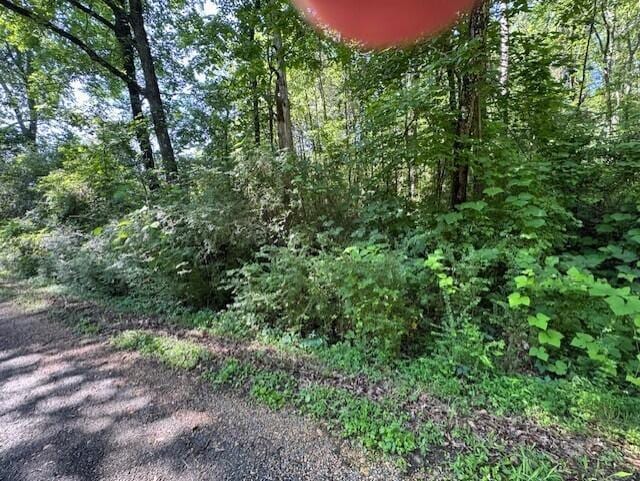 Rock Rd, Winfield, AL 35594 - photo 8