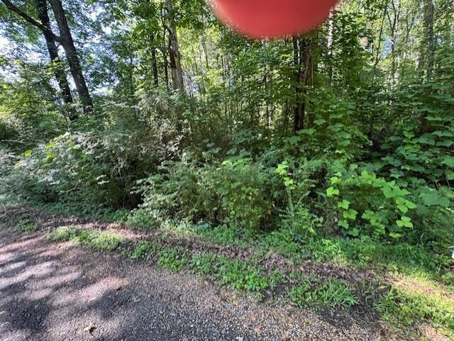 Rock Rd, Winfield, AL 35594 - photo 5