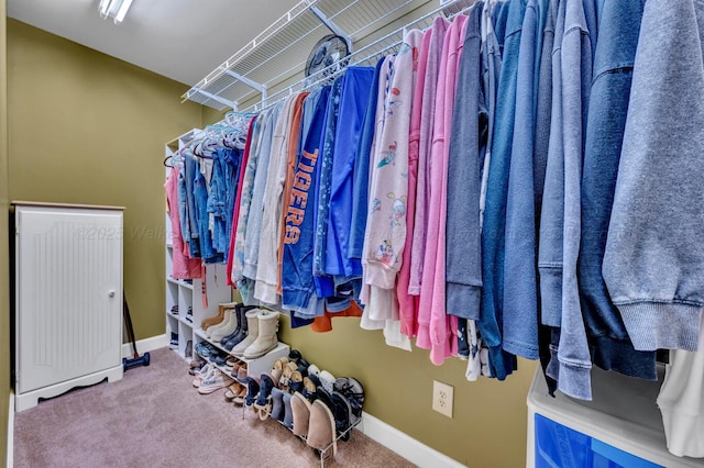 2555 Shady Rd, Adamsville, AL 35005 - spacious closet featuring carpet