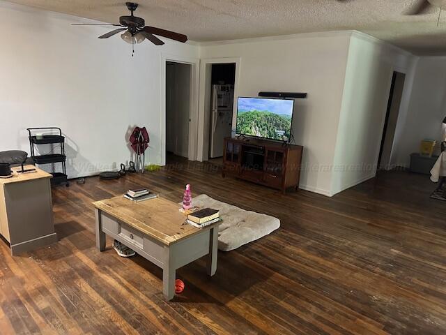 1619 14th Ave, Haleyville, AL 35565 - living room featuring a ceiling fan, wood finished floors, and a textured ceiling