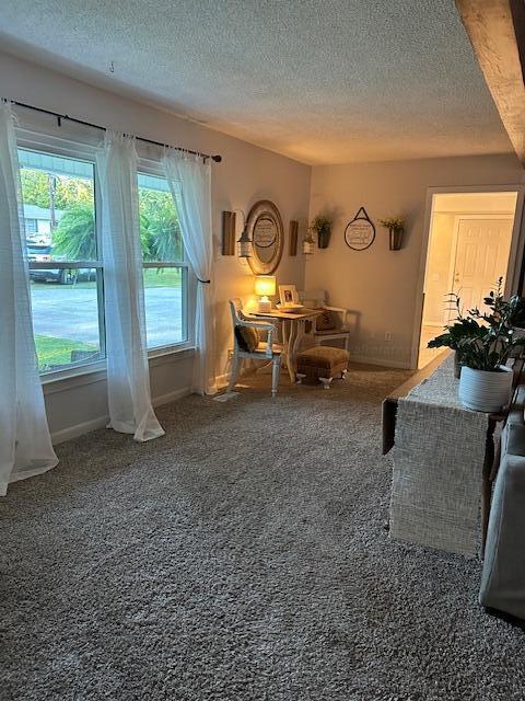 interior space with baseboards, carpet flooring, and a textured ceiling