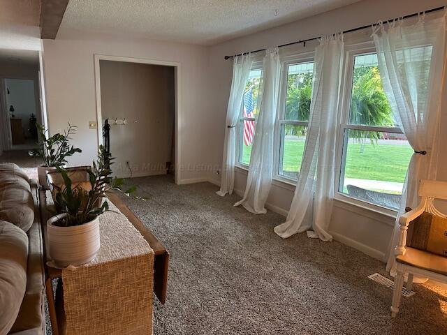 carpeted living area featuring baseboards, visible vents, and a textured ceiling
