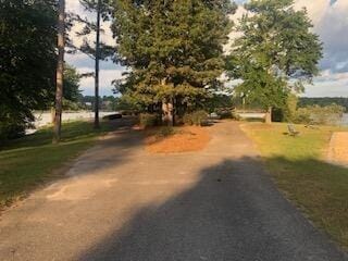 LOT187 N Stoney Pointe Rd, Double Springs, AL 35553 - photo 4