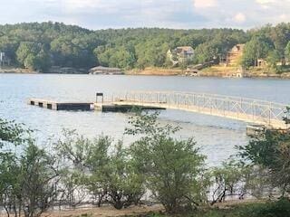 LOT187 N Stoney Pointe Rd, Double Springs, AL 35553 - photo 5