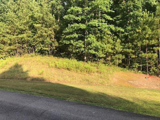 LOT187 N Stoney Pointe Rd, Double Springs, AL 35553 - photo 1