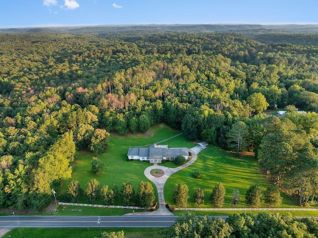 5746 Old Birmingham Hwy, Jasper, AL 35501 - view of property location featuring a forest