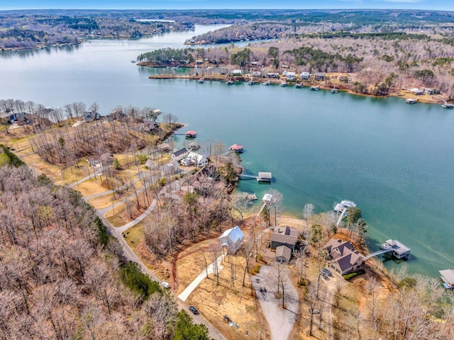 556 Sipsey Rock Rd, Crane Hill, AL 35053 - aerial view featuring a water view