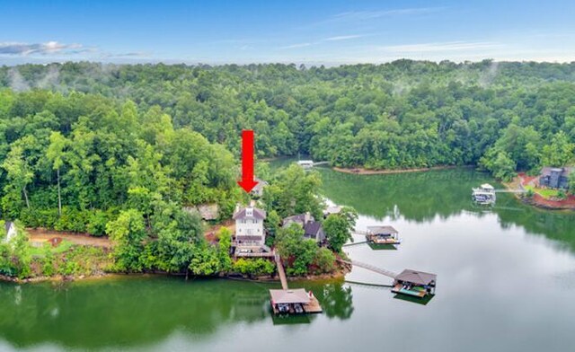 254 Point William Ln, Crane Hill, AL 35053 - photo 34