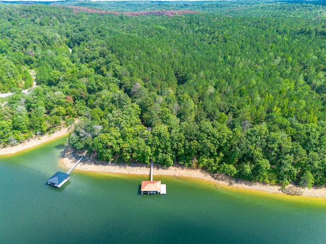 1528 Sipsey Rd, Double Springs, AL 35553 - birds eye view of property featuring a water view and a forest view