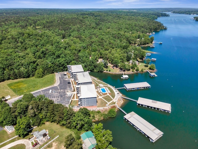 9661 Curry Hwy, Jasper, AL 35503 - aerial view of a forest and a large body of water
