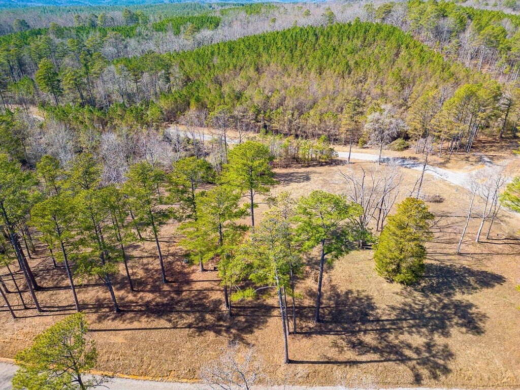 LOT14 White Oak Rdg, Arley, AL 35541 - photo 1