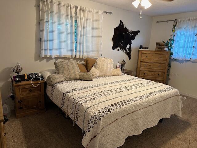 1807 30th St, Haleyville, AL 35565 - carpeted bedroom featuring ceiling fan
