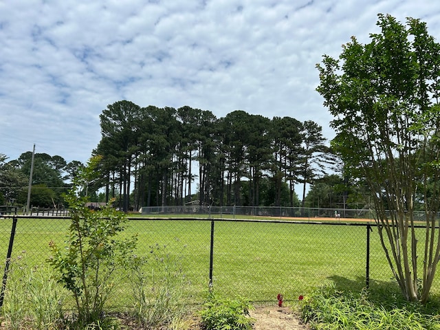 1728 Primrose Dr, Cullman, AL 35055 - view of yard