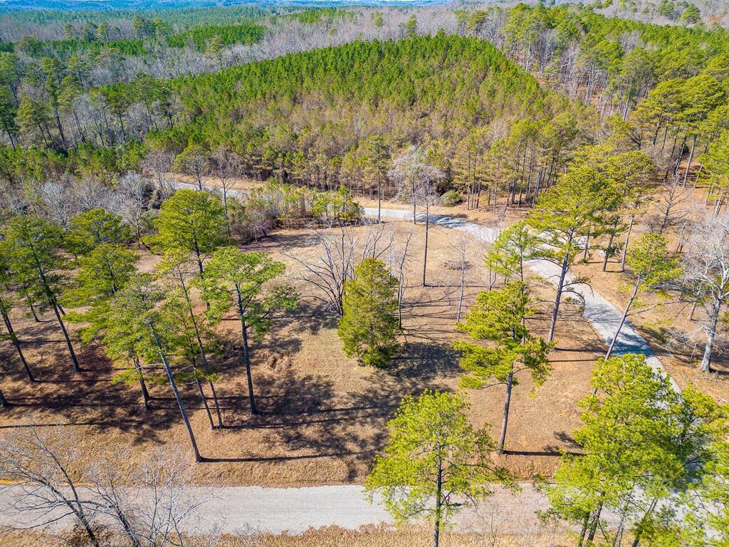 LOT13 White Oak Rdg, Arley, AL 35541 - photo 2