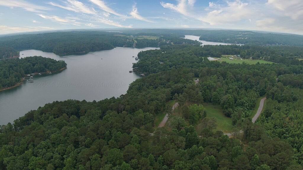 LOT13 White Oak Rdg, Arley, AL 35541 - photo 3