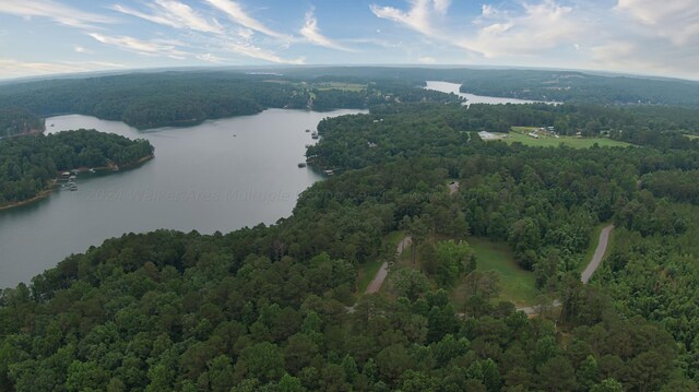 LOT13 White Oak Rdg, Arley, AL 35541 - photo 3