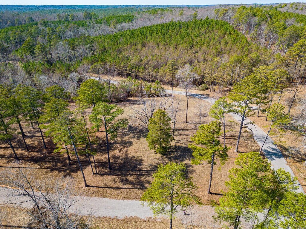 LOT13 White Oak Rdg, Arley, AL 35541 - photo 1