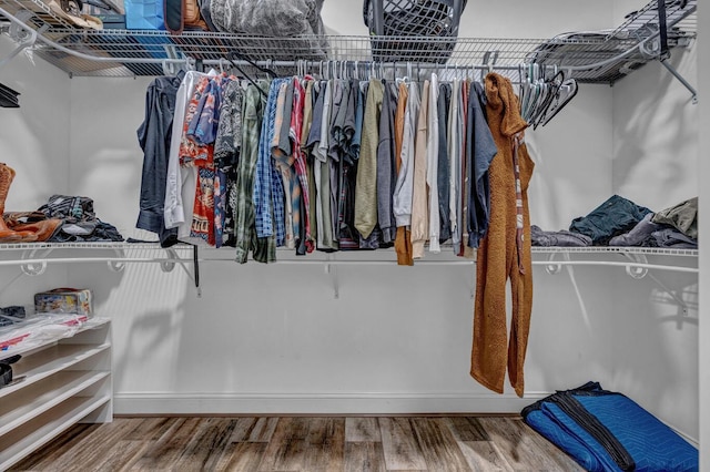 spacious closet featuring wood finished floors