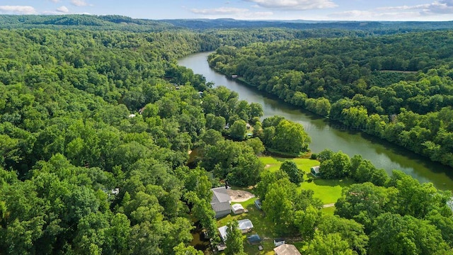 515 River Dr, Quinton, AL 35130 - bird's eye view featuring a water view and a view of trees