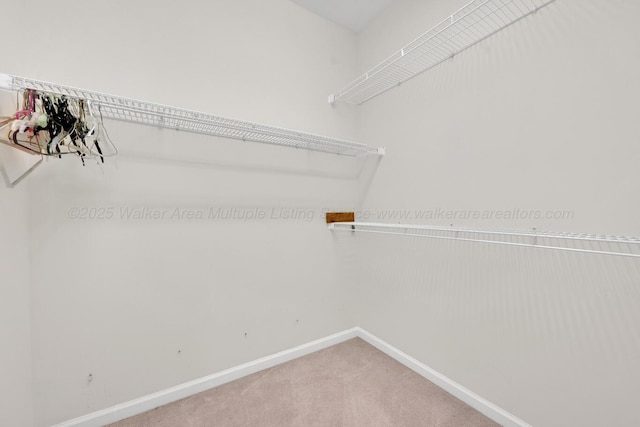 3503 Fairoaks Dr, Jasper, AL 35504 - photo 36