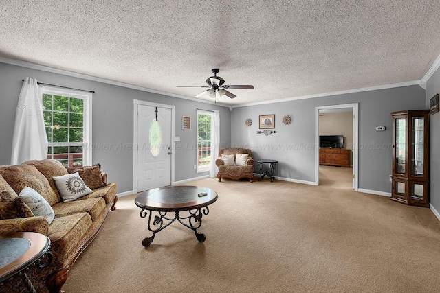 3762 Country Rd, Jasper, AL 35503 - photo 2