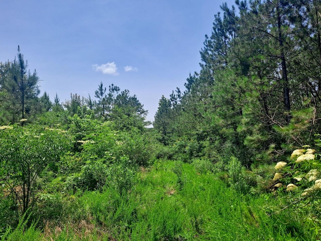 Blanton Rd, Oakman, AL 35579 - photo 2