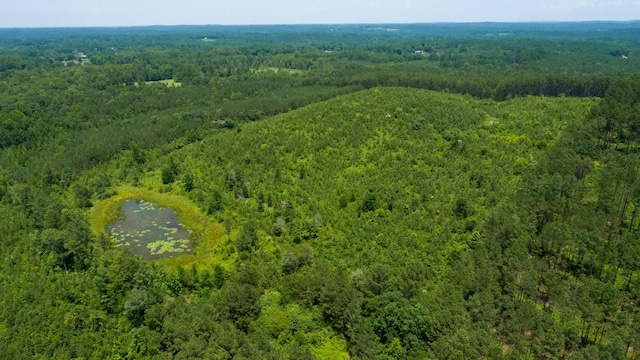 Blanton Rd, Oakman, AL 35579 - photo 1