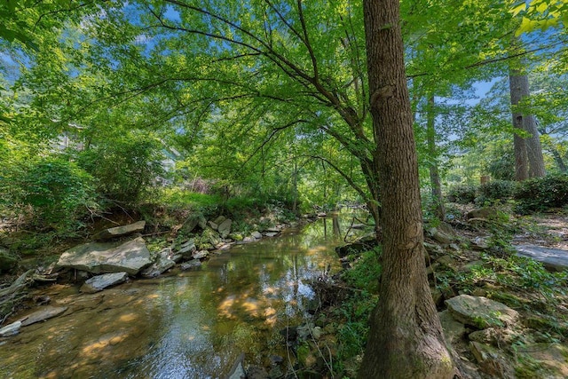 505 3rd Ave, Jasper, AL 35501 - water view featuring a forest