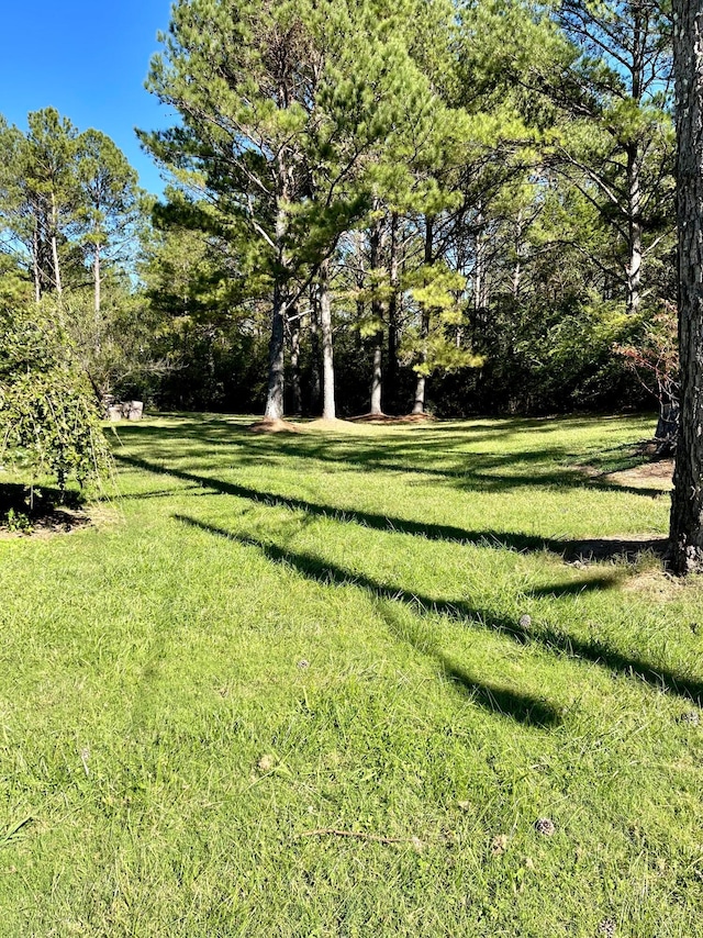 view of green lawn