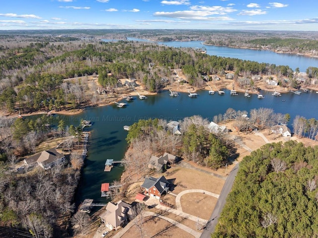 drone / aerial view with a water view and a view of trees