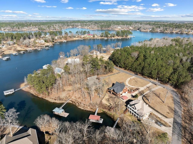 bird's eye view featuring a water view and a wooded view